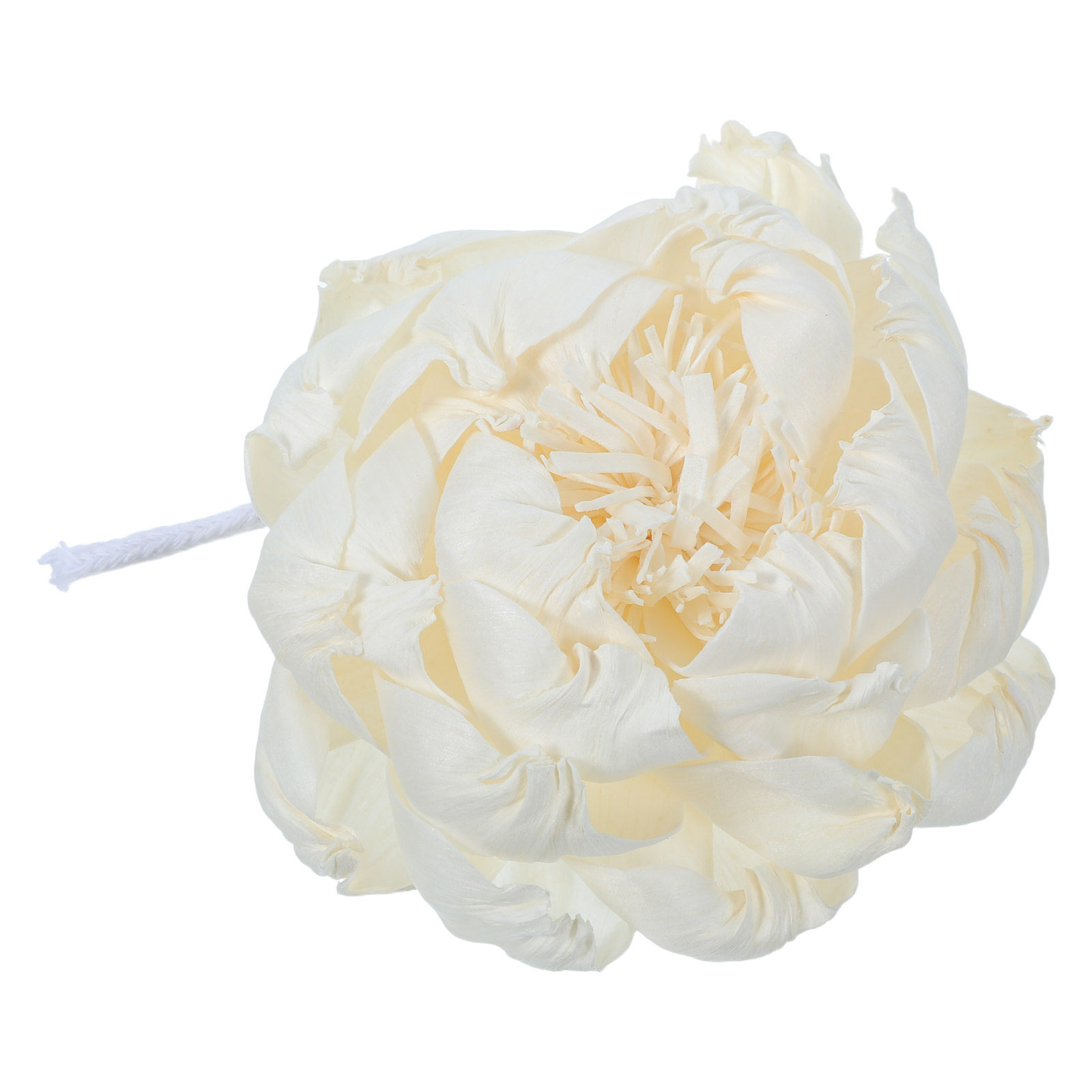 Peony Head Fragrance Diffuser  - đánh giá và giá Home Fragrances