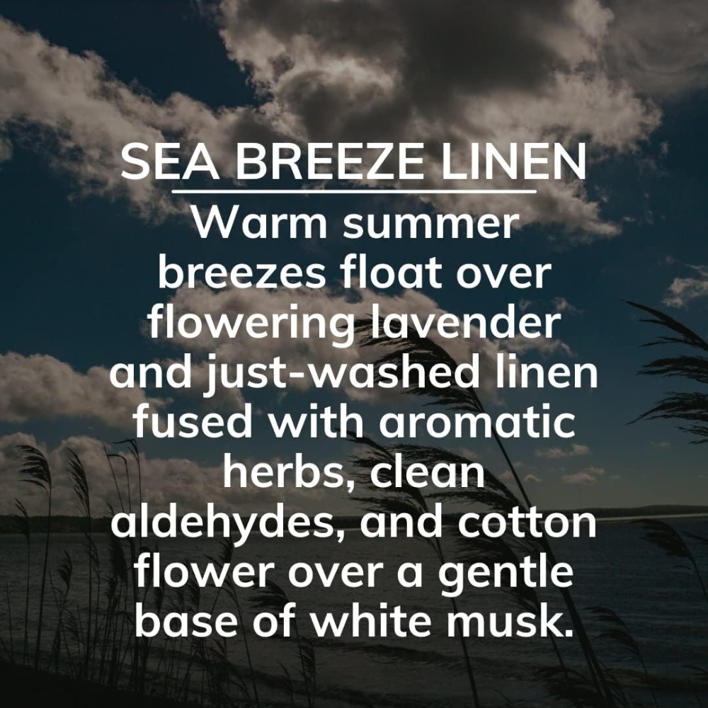 Long-Lasting Solid Odor Elimin - đánh giá và giá Home Fragrance Linen
